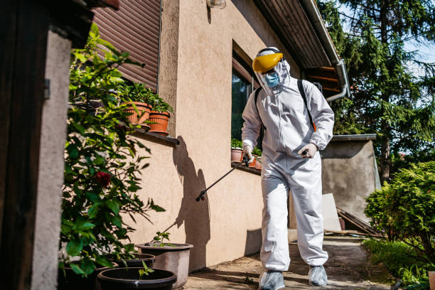 Best Pest Prevention Services  in Bloomington, CA
