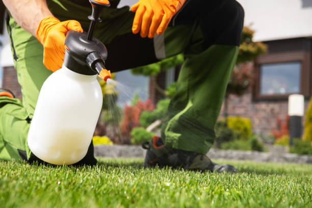 Best Local Pest Control Services  in Bloomington, CA
