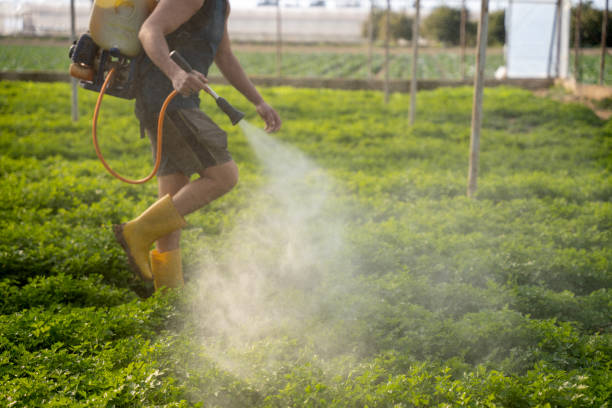 Best Insect Control  in Bloomington, CA