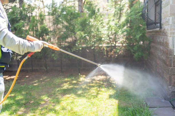 Best Insect Control  in Bloomington, CA