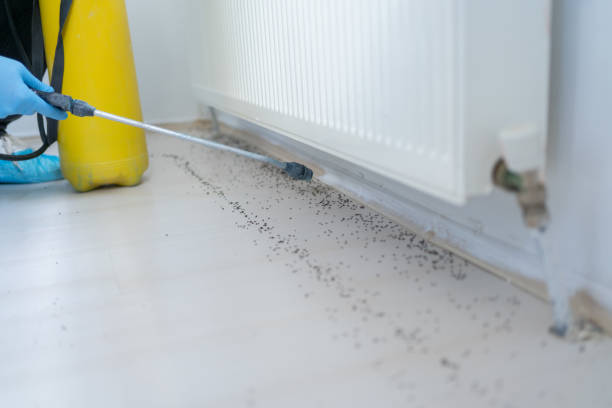 Best Exterminator Services  in Bloomington, CA