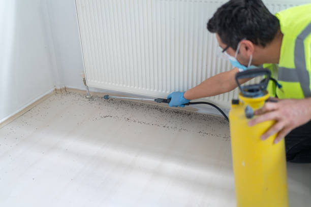 Best Ant Control Services  in Bloomington, CA