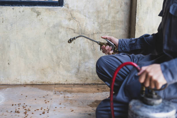 Best Commercial Pest Control Services  in Bloomington, CA